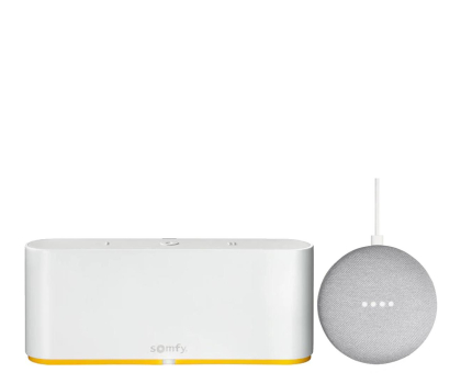 Centrala domu inteligentnego Somfy Centrala TaHoma switch + Google Home Mini